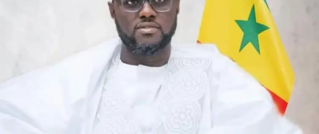 Sénégal: El Malick Ndiaye élu président de l’Assemblée nationale