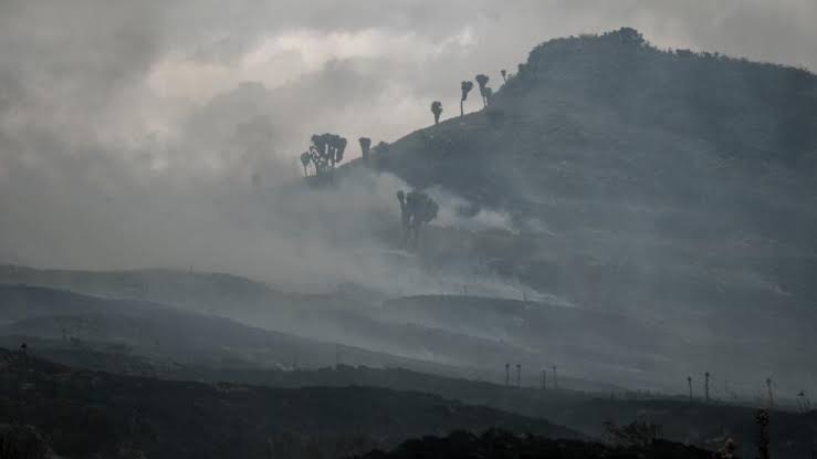 Kenya: un incendie détruit plus de 120 000 hectares