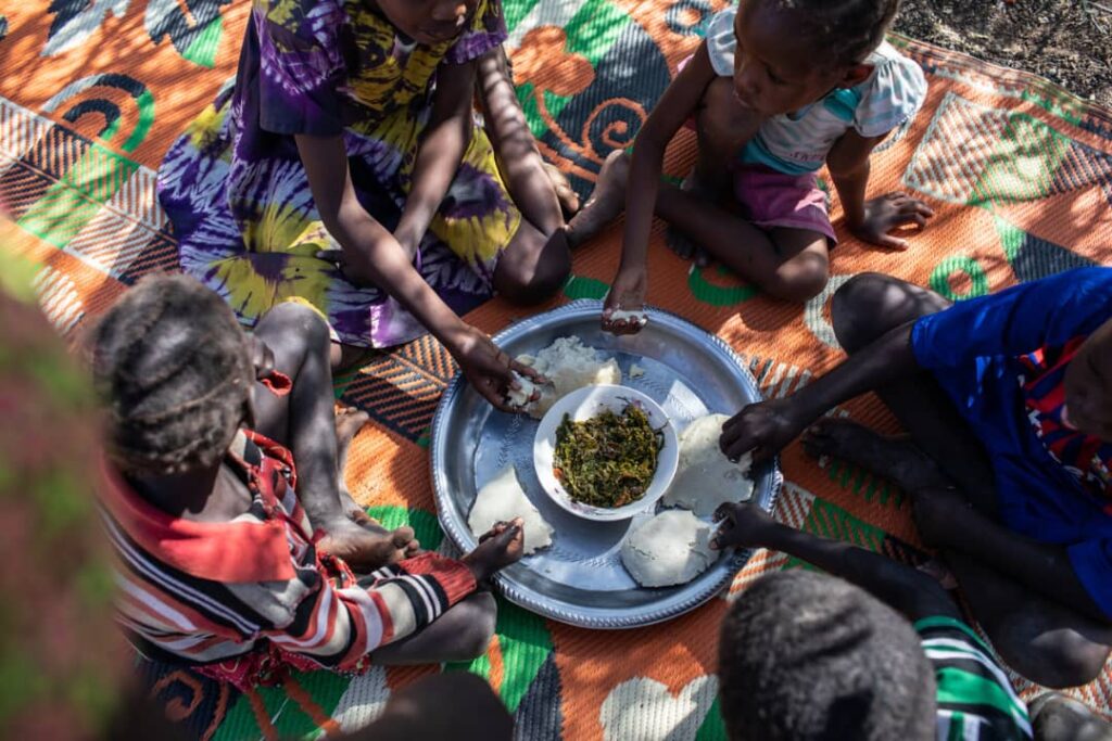 La malnutrition en Afrique : un défi à relever pour un avenir durableIntroduction