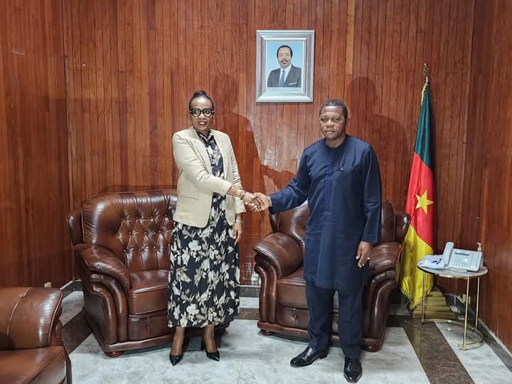 Cameroun/ HCR: le pays reçoit les félicitations de l'organisme onusien pour ses efforts en faveur des réfugiés