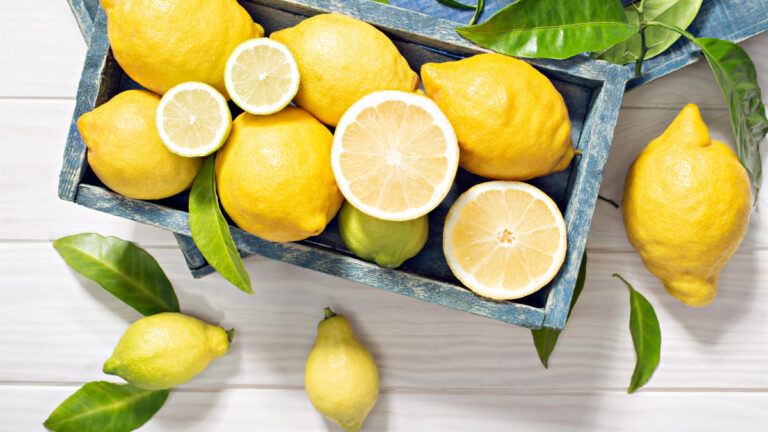 Le citron n’absorbe pas le sang, c’est le contraire.