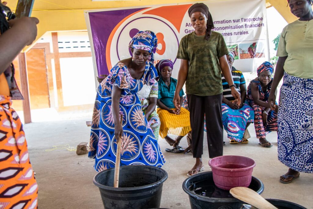 Togo/N’nababoun (Commune de Bassar 3) : L’Association Dubien renforce les capacités des femmes rurales à travers une formation sur les AGR et l’approche genre.