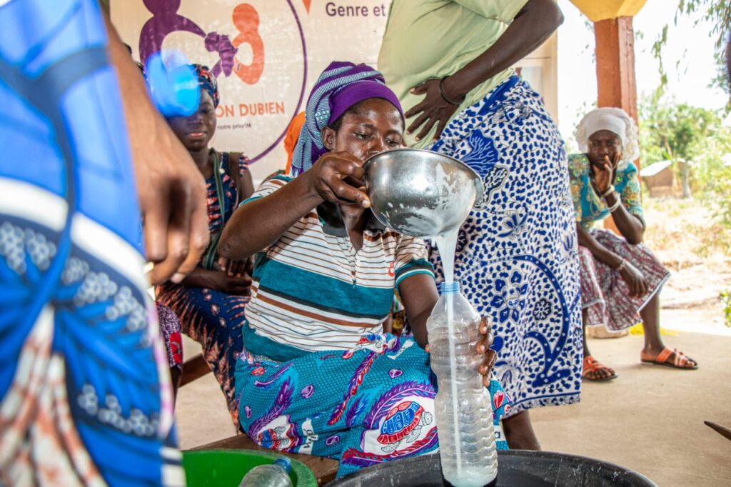 Togo/N’nababoun (Commune de Bassar 3) : L’Association Dubien renforce les capacités des femmes rurales à travers une formation sur les AGR et l’approche genre.