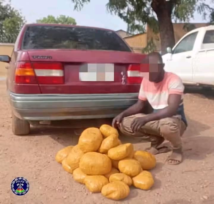 Lutte contre le trafic de stupéfiants : La Police Nationale saisit plus de 20 kg de cannabis à Pô