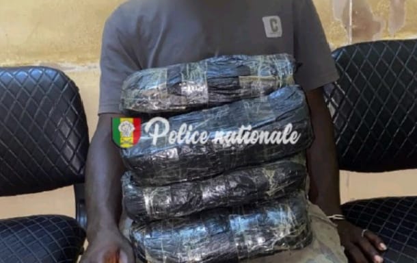 Kaolack : Saisie de 11 kg de chanvre indien dans une opération de la Brigade des Stupéfiants