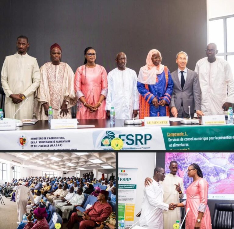Vers une souveraineté alimentaire : Le Sénégal dévoile son programme de résilience agricole