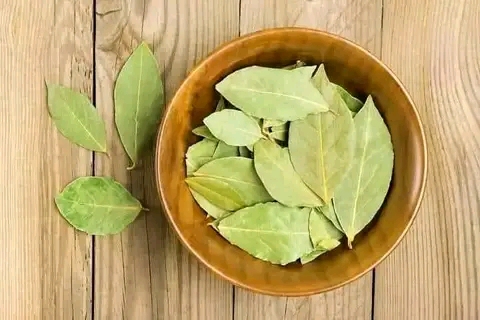 ♦️Astuce/Bien-être : Les vertus apaisantes des feuilles de laurier