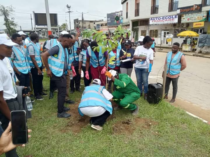 Cameroun/ reboisement: l'ONAC initié une campagne de reboisement pour reverdir les villes du pays