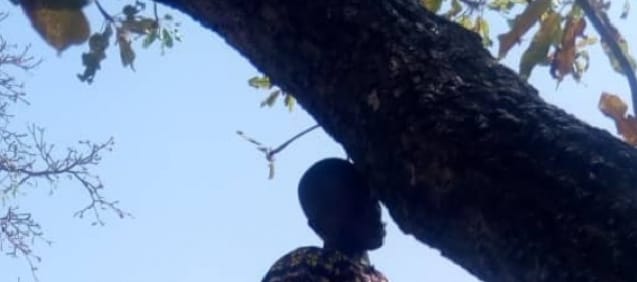 Drame à Ziguinchor : le corps sans vie d’un homme retrouvé pendu dans une baraque de pêcheurs