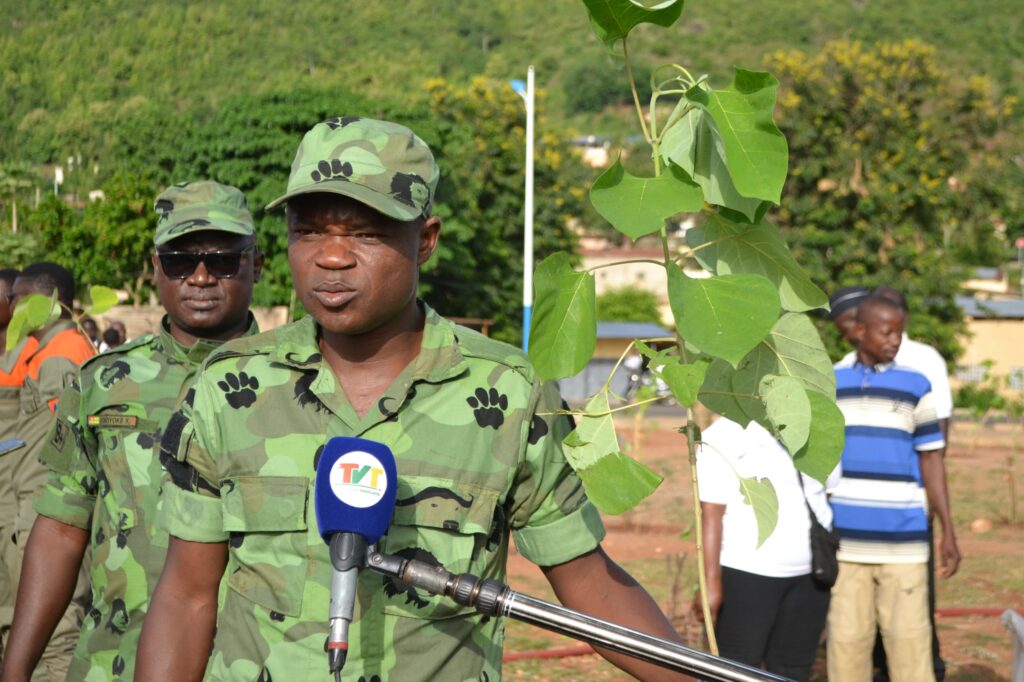 Région des Plateaux : le Gouverneur Dadja Maganawé plante le futur lors de la 48ᵉ Journée de l’Arbre.