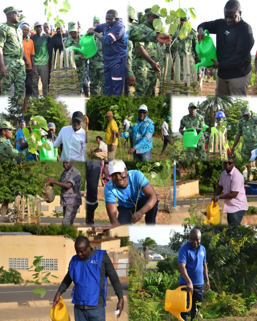 Région des Plateaux : le Gouverneur Dadja Maganawé plante le futur lors de la 48ᵉ Journée de l’Arbre.