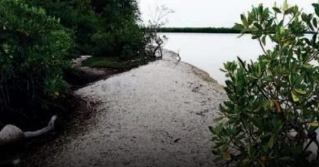 Diorom Boumak : L’île-cimetière du Saloum, entre archéologie vivante et spiritualité paysagère