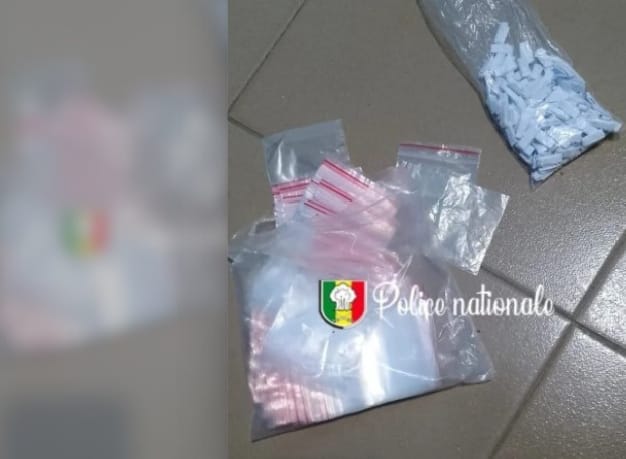 Saisie record de Kush à Yeumbeul : un étranger arrêté avec 174 képas de drogue