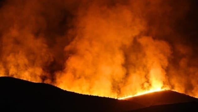 Libye : L’oasis d’Alawenat dévastée par de violents incendies
