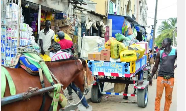 Charretiers de Thiaroye : Bâtisseurs de l’ombre d’un marché en mouvement
