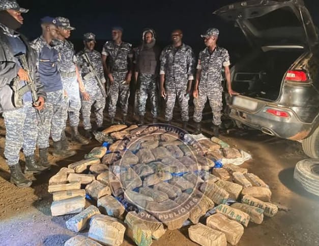 Thies : Une importante cargaison de chanvre indien saisie près du centre d'entraînement de la gendarmerie