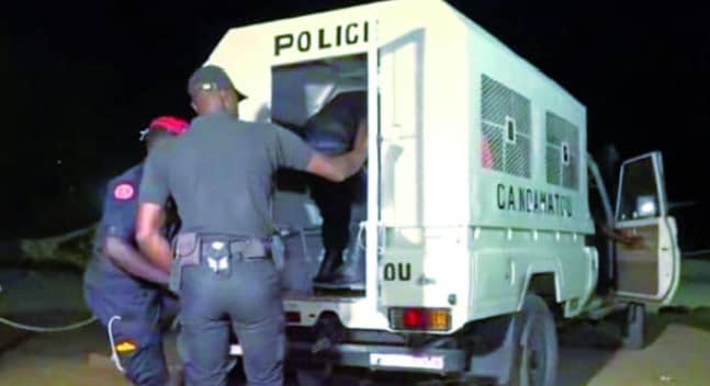 🚨 Sénégal – Trafic de Tramadol : deux étrangers arrêtés à Dakar lors d’une tentative d’exportation vers les États-Unis