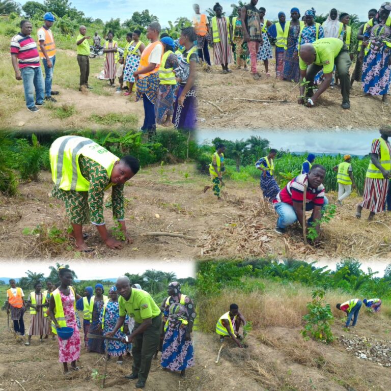 Togo/Amou 3/Reboisement citoyen : Dubien mise sur les femmes pour un Togo plus vert ».