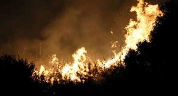 Europe et Méditerranée en flammes : alerte rouge face à la canicule et aux incendies