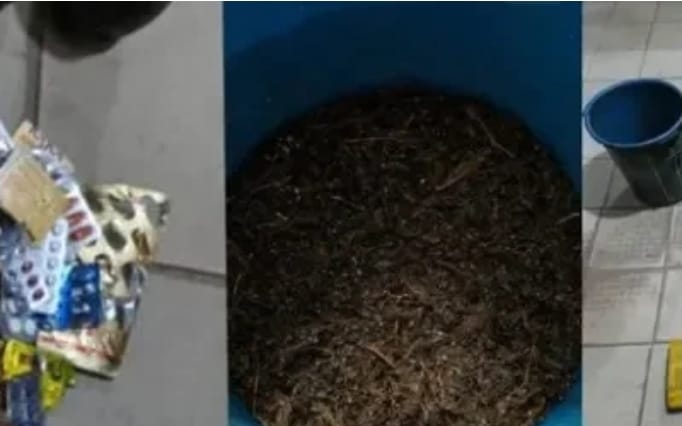 😮 Benin / Yagbè – Boissons à base de chanvre indien : une fabricante et ses clients arrêtés à Yagbè