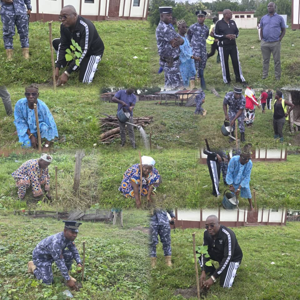 L’honorable Fombo Séna en action : 500 jeunes plants pour verdir Datcha et restaurer le couvert végétal