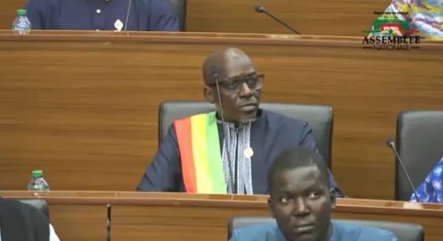 Amadou Mbaye Dia fait son entrée à l’Assemblée nationale en remplacement d’Amadou Bâ