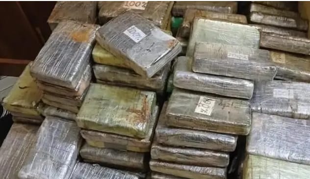 Kalifourou : Les Douanes interceptent 239 kg de cocaïne, un coup de filet historique