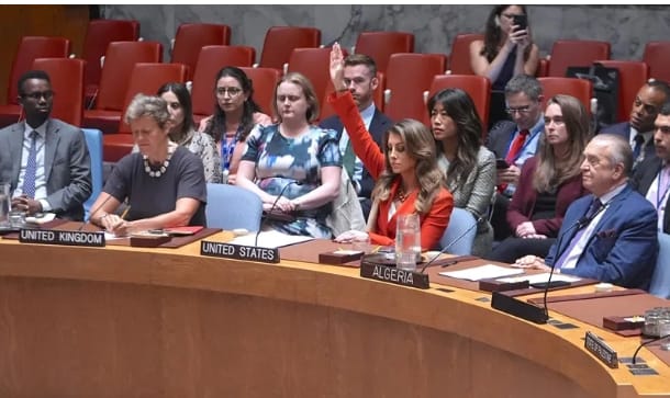 Algérie à l’ONU : « Le Conseil de sécurité au bord d’un troisième échec face au génocide à Gaza »
