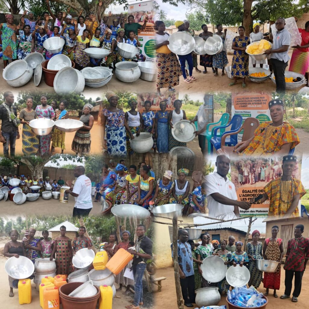 Togo : Quand l’autonomisation financière des femmes rurales devient moteur de développement – Inades-Formation Togo dynamise les coopératives de Tchekpo Devé