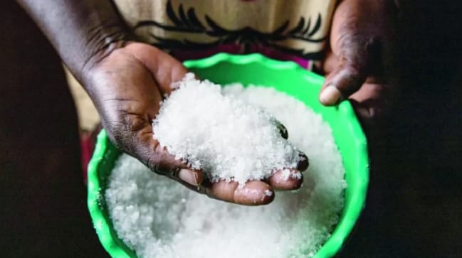 Consommation de sel au Sénégal : entre habitudes culturelles et enjeux de santé publique