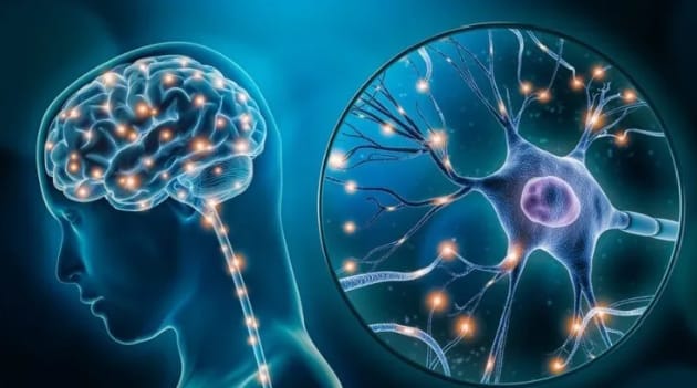 Alzheimer au Sénégal : un défi silencieux qui interpelle familles et autorités