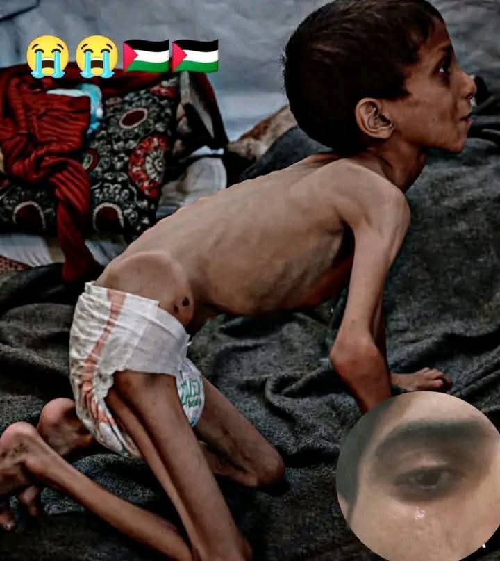 CRI DE PALESTINE