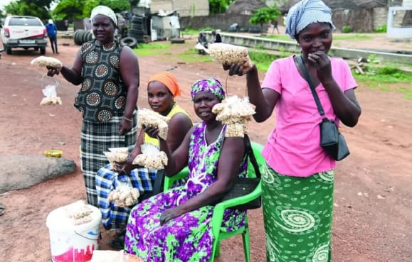 Les Dames du Sine : Gardiennes du “Ndamarass” et de la Dignité Familiale