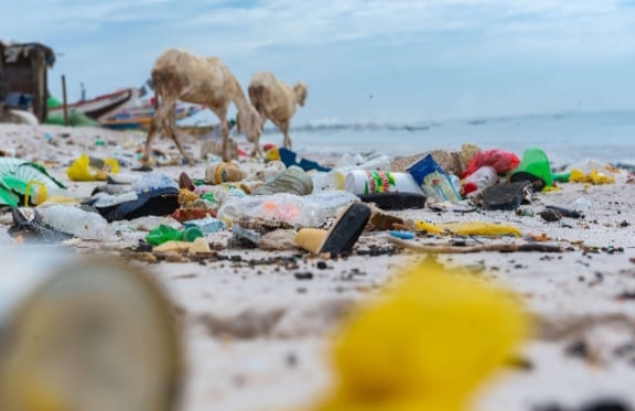 SACHET D’EAU : la pollution plastique persiste au Sénégal malgré la loi