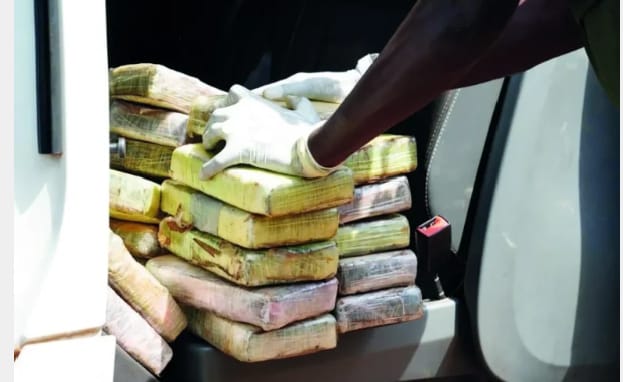 Trafic international de drogue : plus d’une tonne de cocaïne interceptée en cinq mois au Sénégal