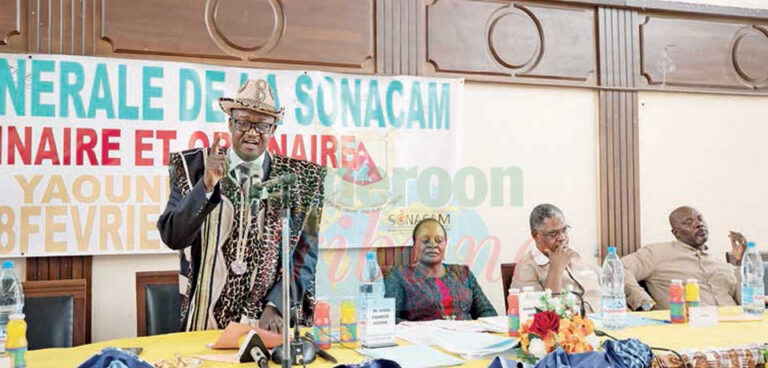 Cameroun : quand les droits d’auteur peinent à nourrir les créateurs