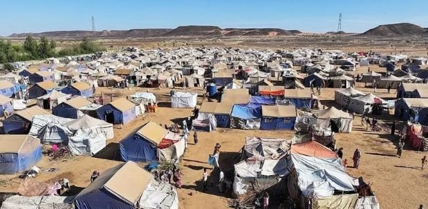 Diplomatie sous tension : Londres et Abou Dhabi resserrent leurs positions sur le Soudan et Gaza