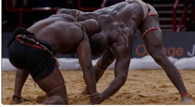 FSL : 275 structures validées pour un scrutin décisif le 27 décembre