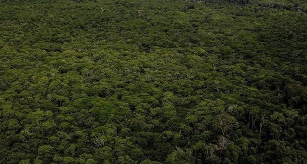 L’Union européenne vise une réduction drastique de 90 % de ses émissions d’ici 2040