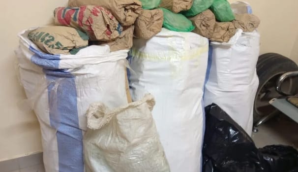 Mballing : 108 kg de chanvre indien saisis, les trafiquants échappent à la brigade des stupéfiants