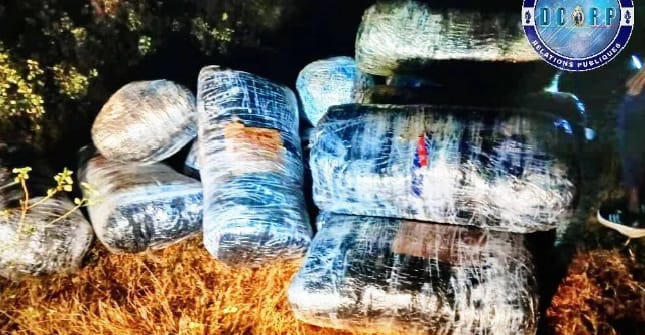 Sénégal : La Gendarmerie frappe un grand coup contre les trafiquants de drogue