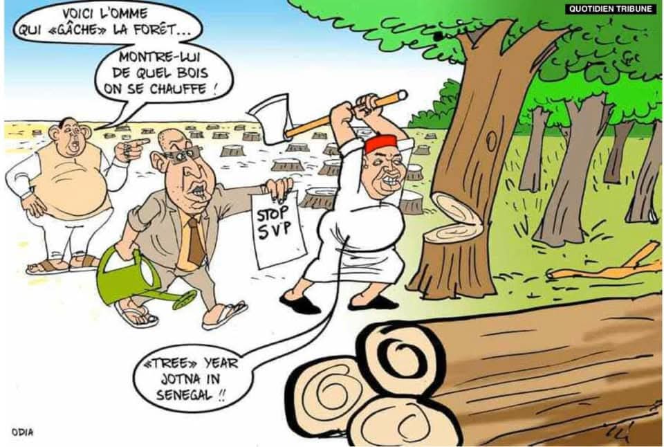 Odia, l’art de penser en un trait : quand le dessin révèle l’actualité