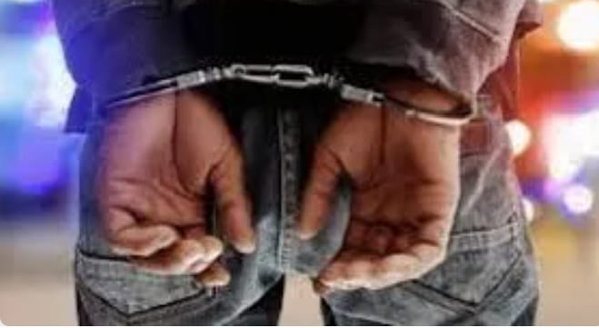 Cybercriminalité : un réseau d’escrocs spécialisé dans les fausses exportations démantelé par la DSC