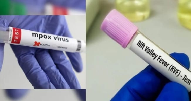 Fièvre de la vallée du Rift : le Sénégal entrevoit la fin d’une épidémie maîtrisée