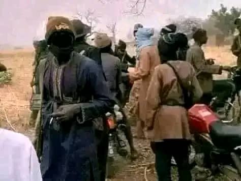 Nigeria : À Katsina, un “contre-enlèvement” bouleverse les rapports de force et révèle une population décidée à survivre