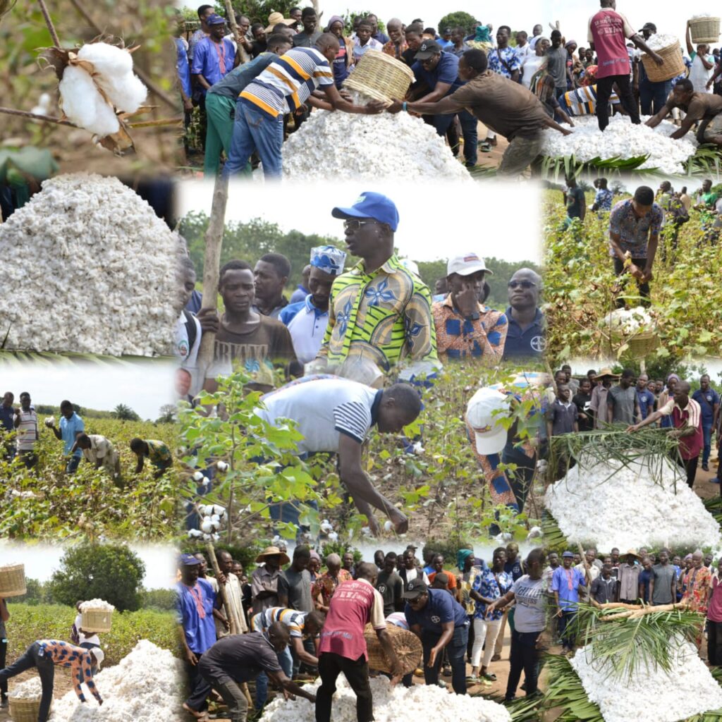 Campagne cotonnière 2025/2026 : À Agbédougbé, la NSCT outille les acteurs pour freiner l’hémorragie des pertes post-récoltes