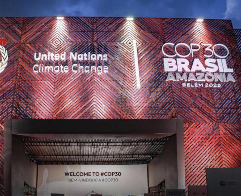 COP 30 : Les véritables gains stratégiques du Sénégal à Belém