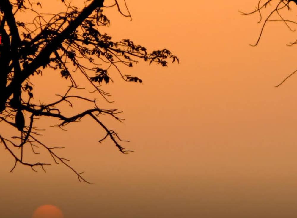 « Vivre ensemble : la République des égards et de la sagesse »