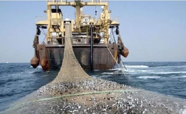 Préserver les mers : le Sénégal instaure une trêve biologique pour la pêche industrielle jusqu’au 31 octobre