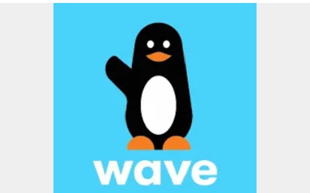 Wave à l’assaut du secteur bancaire : une nouvelle ère pour la fintech africaine